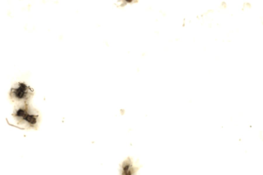 Image 108